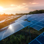 sun rising on solar panels showing how solar panels work in the winter